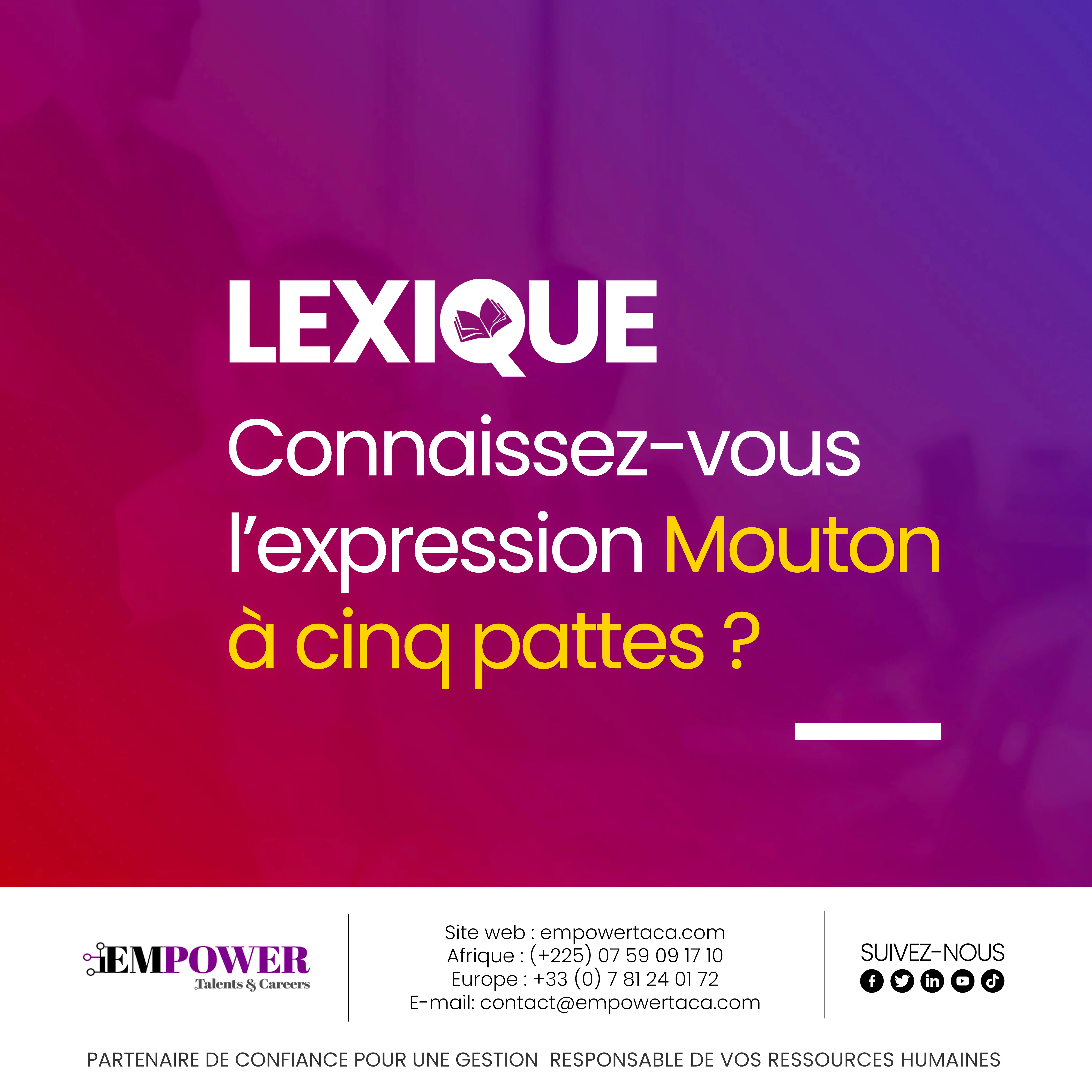 Galerie — Empower Talents & Careers | Stratégie social media & monitoring